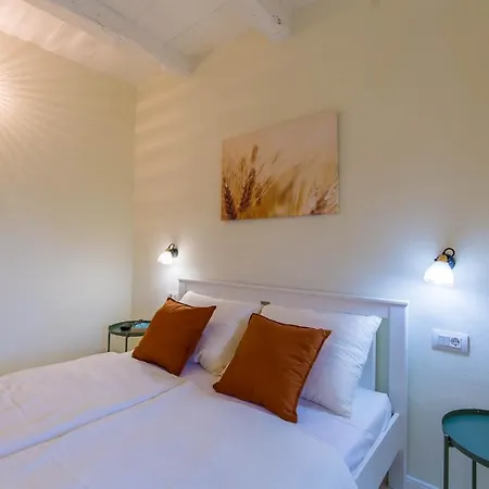 Casa Mario-Charming Stone House With Jacuzzi Villa Svetvincenat Exterior photo